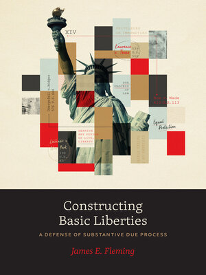 cover image of Constructing Basic Liberties